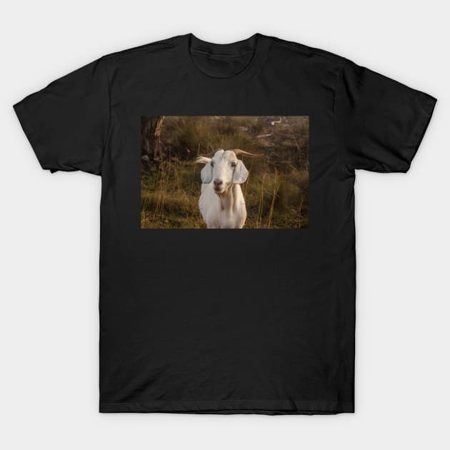 Nanny Goat T-Shirt by DeborahMcGrath